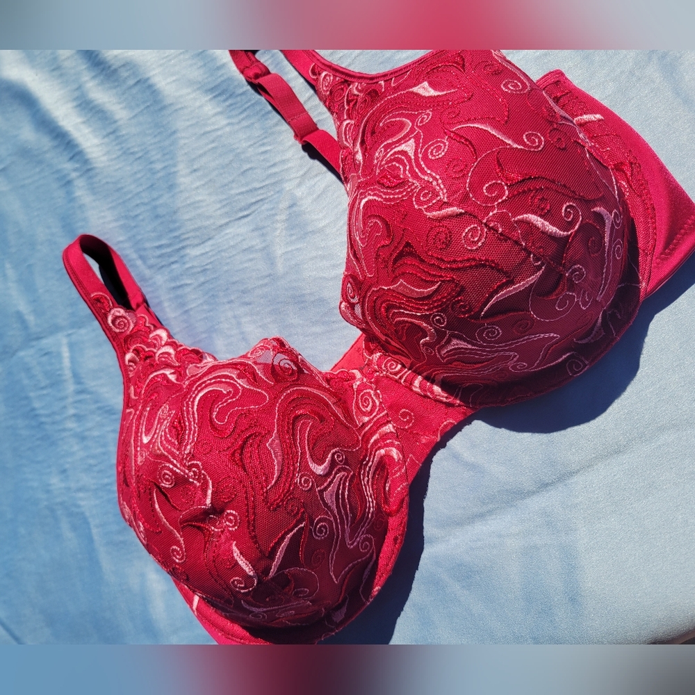 Playtex Red Lace Embroidered Bra 38D